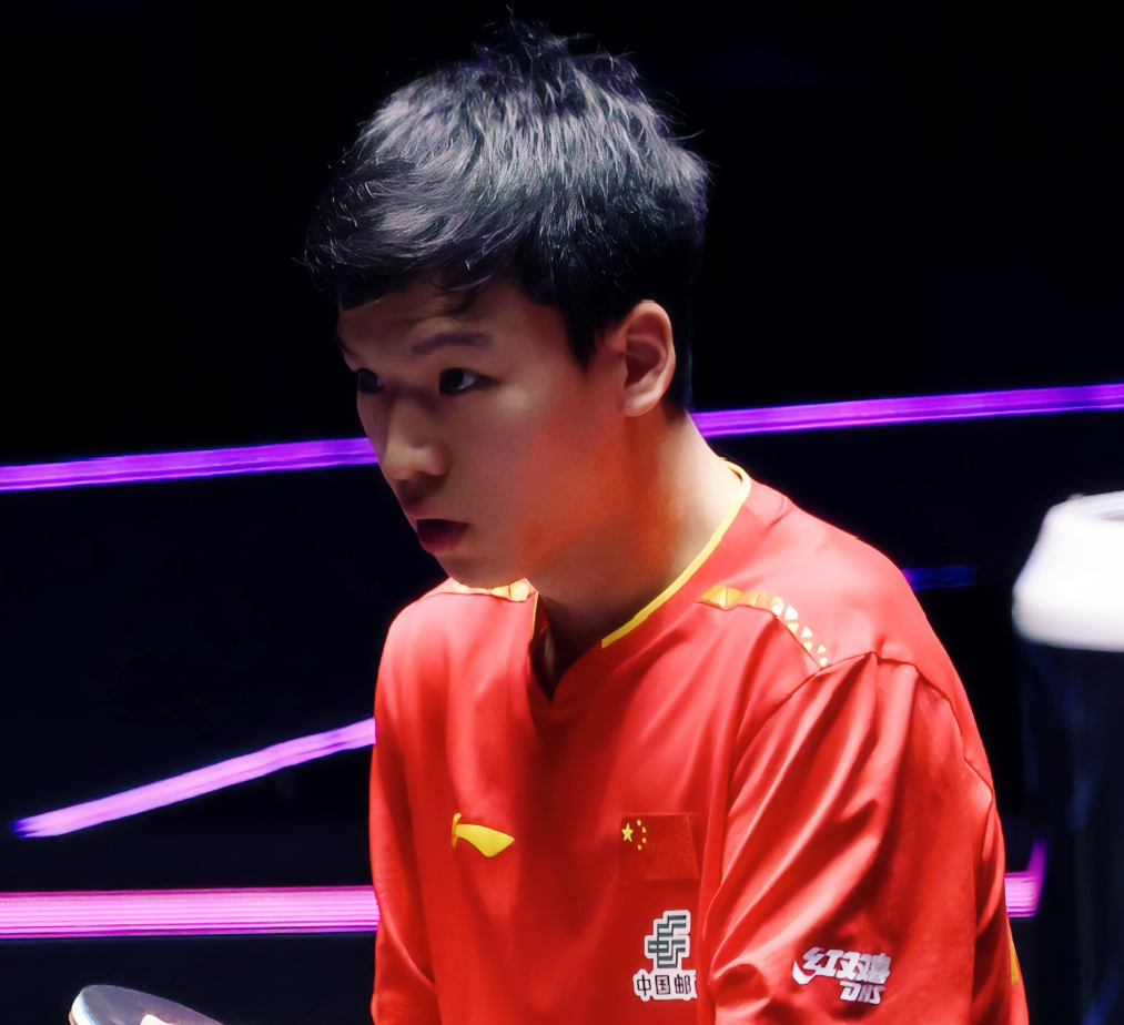 和林诗栋 和林诗栋