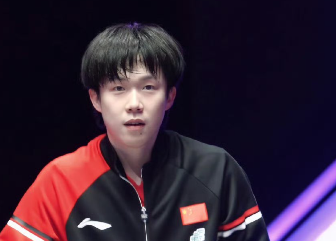 和林诗栋, 不满的地方 和林诗栋, 不满的地方